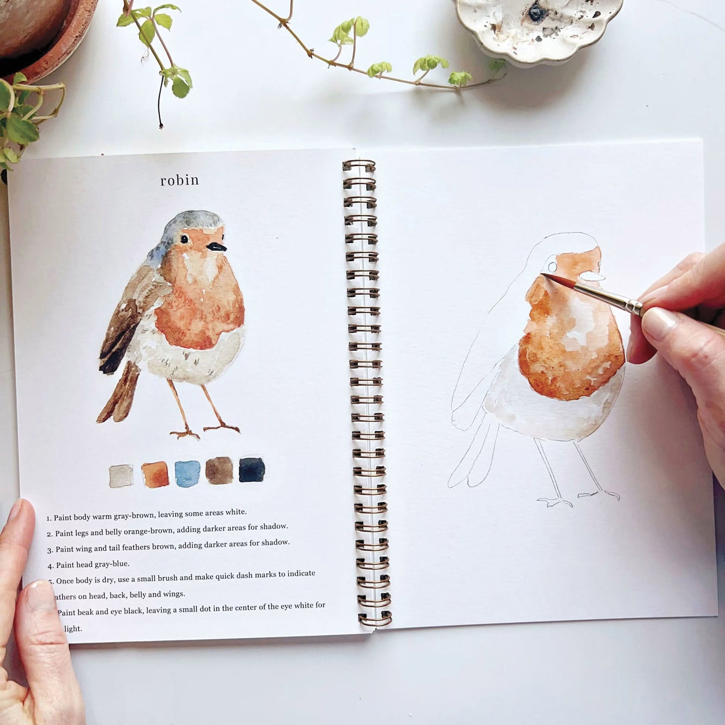 Emily Lex Watercolor Workbook- Birds