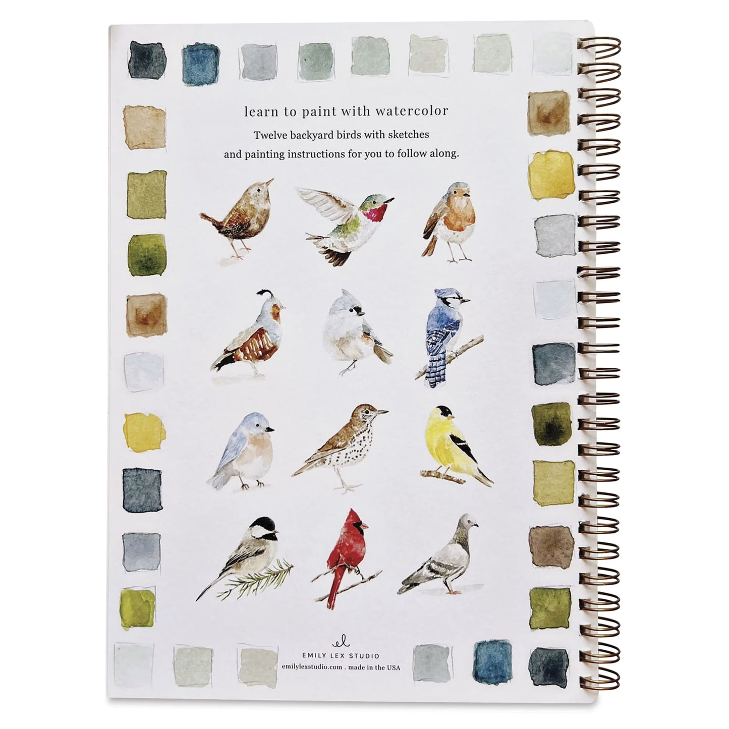 Emily Lex Watercolor Workbook- Birds