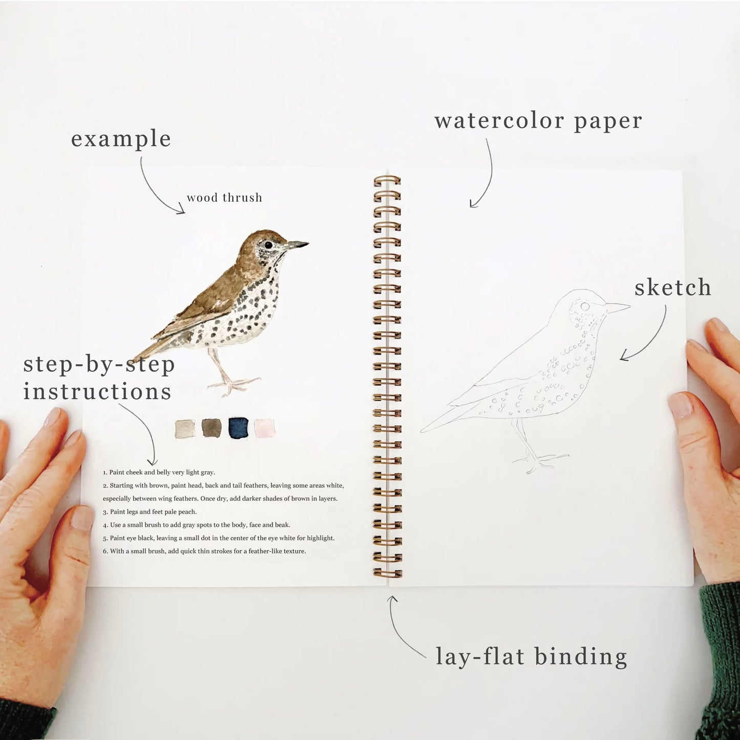 Emily Lex Watercolor Workbook- Birds