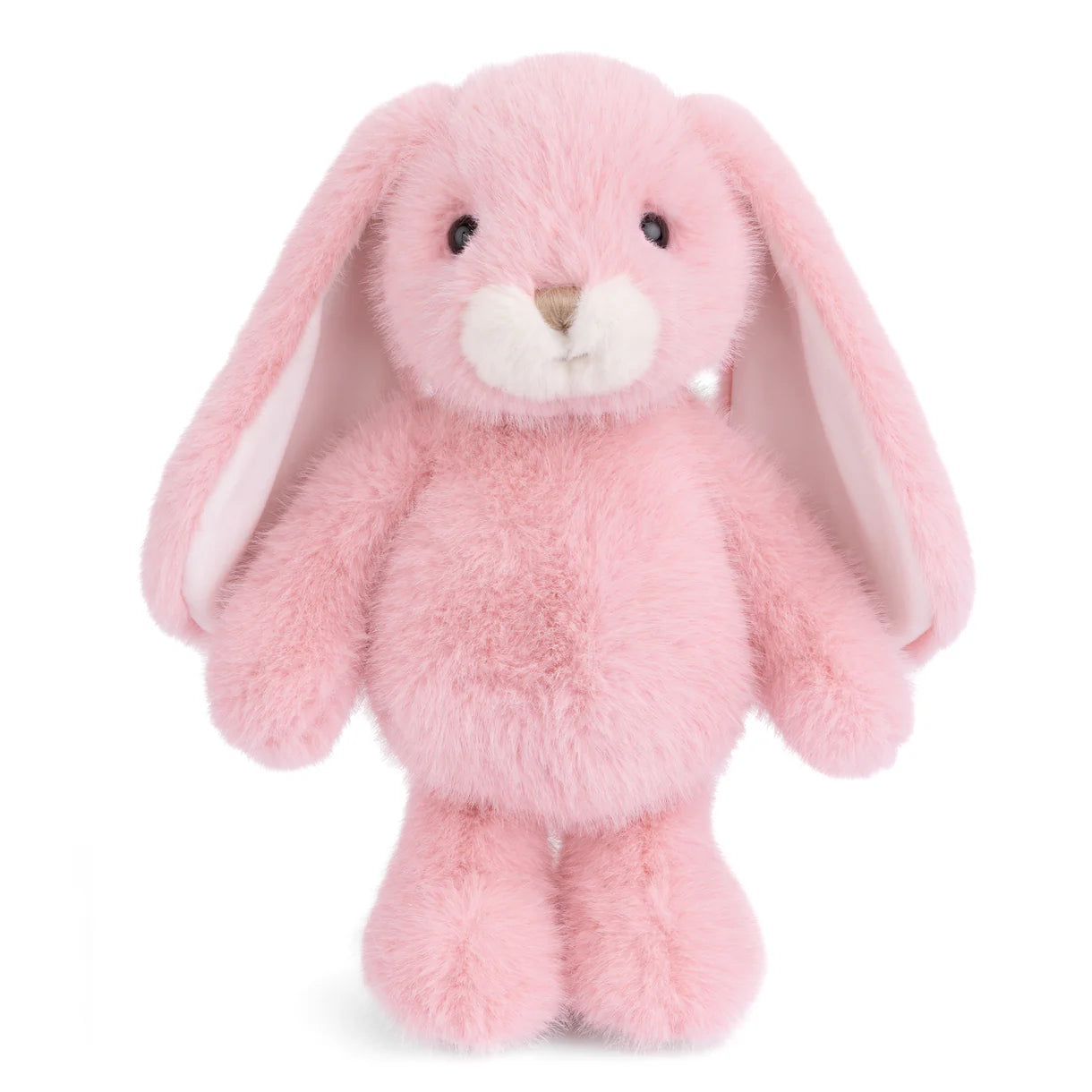 Jumpy Bunny