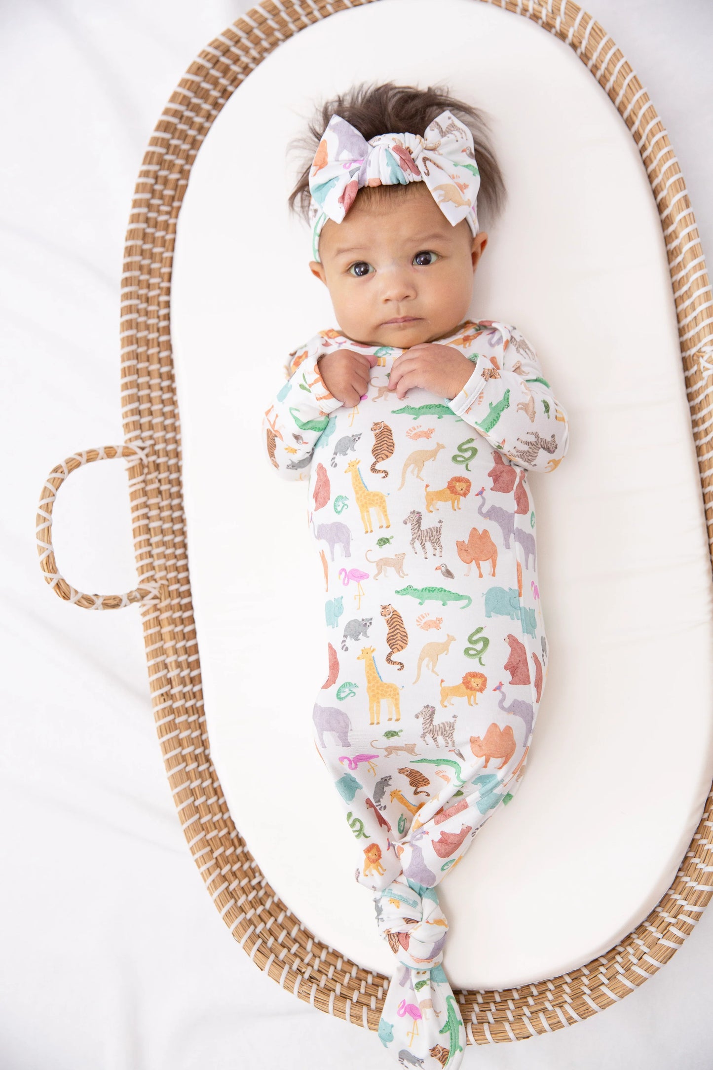 Headband Bow Set- Zoo Crew